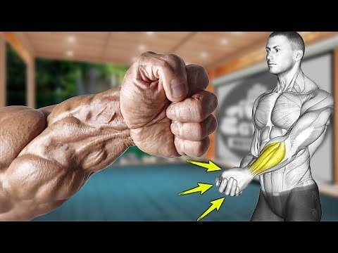 No Gym Needed: 7 Hand Grip Strength Exercises with Dumbbell Only