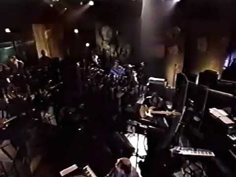 Steely Dan “FM (no static at all)” (raw footage, Plush TV jazz-rock party)