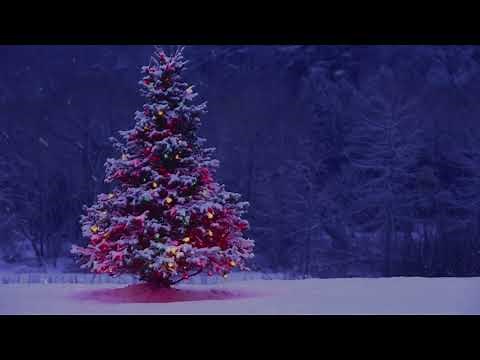 AMBIENCE | FESTIVE CHRISTMAS TREE WITH SNOW FALLING GENTLY OUTSIDE, RELAXATING CHRISTMAS MUSIC