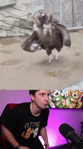 Bird Superbowl - Behind the Scenes