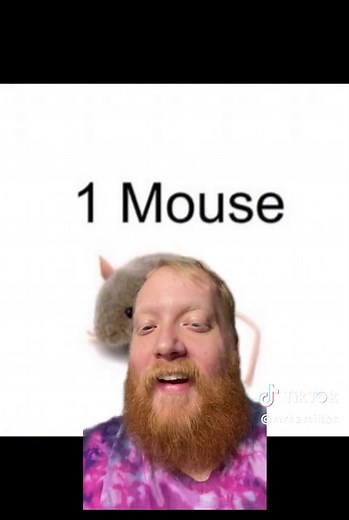 Casey Hamilton (@mrhamilton)’s videos with original sound - Casey Hamilton