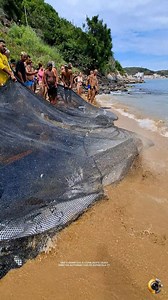 🚀 PESCA DE CAVALA NA PRAIA DA GRAÇAINHA EM ARRAIAL DO CABO RJ BRASIL. 🇧🇷 A rede chegou à beira d’água trazendo algumas cavalas no ritmo calmo da maré, revelando mais um capítulo da rotina que acompanha quem vive esse trabalho. No meio desse movimento, surgiu uma tartaruga marinha presa por acidente, e o cuidado foi imediato: retirada com atenção e devolvida ao mar para seguir seu caminho. Mesmo com pouca cavala, o retorno reforçou a continuidade dessa tradição que atravessa séculos e molda o 