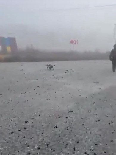 79K views · 839 reactions | Russian forces are exploiting heavy fog and poor weather to push light vehicles into southern Pokrovsk. Ukrainian sources confirm the conditions are hampering drone operations, making it harder to spot and strike Russian movements. #war #drone #tank #military | War Fighter | Facebook