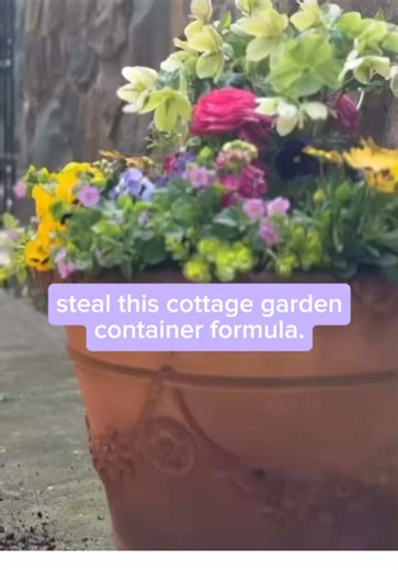 Create a Cottage Garden Look in Your Containers