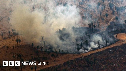 환경 파괴: ‘지구의 허파’ 아마존, 산림파괴 15년만에 최대 - BBC News 코리아