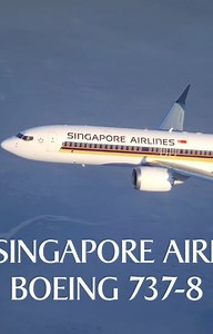 Singapore Airlines on Instagram: "Ever wondered how it feels like to step on board our new Boeing 737-8 aircraft? Take a tour with us to view the best-in-class cabin comforts including the latest in-flight entertainment system on every seat. Ready to experience world class, no matter how short your journey? Read more at https://bit.ly/SK-B737-8."