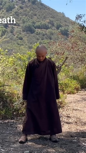 I do this Qigong Movement Daily to Let Go my STRESS, and ANXIETY _ CLEANSING BREATH #shorts | Qigong Meditation