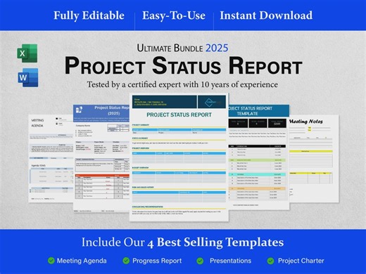 Project Status Report Template | Work Activity | Project Summary | Project Document | Project Management | Project Update - Etsy
