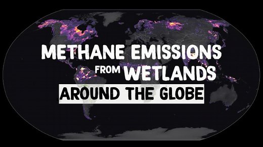 Wetlands, such as salt marshes, are both an indicator of and protector against climate change. They buffer coastal communities from severe storm impacts and rising sea levels and provide vital habitats for coastal plants and animals. Wetlands are also the largest natural source of methane on Earth. Microbes in the wet soils naturally produce methane – and with warmer temperatures, the microbes become more active, releasing more methane into Earth’s atmosphere. In 2020 and 2021, global atmospheri
