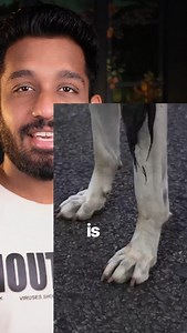 37K views · 2.1K reactions | PixVerse AI is a powerful tool designed...