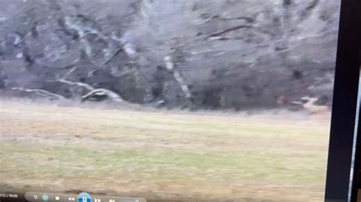 Dad and I had an awesome hunt together to close out the Oklahoma rifle season. Encountered this GIANT 3 1/2 year old at 90 yards!! Largest racked buck Dad has seen in a long time and definitely a hard pass however that’s how you get the monsters and this one has ALL THE POTENTIAL!! Would you have passed him?? #giantbuck #shootorpass #deerhunting | Kyle Cortiana Fishing