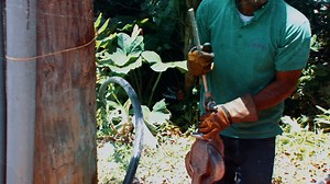 Give us 5 minutes and we’ll connect you to all things #LUCELEC on...