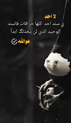 ‏#㝧执獧浻牡楧瑦瀰絸朣杢㑳执獧扻捡杫潲湵潣潬㊗㩲昣昸昸㬸慢正牧畯摮椭慭敧敷止瑩札慲执楤湥楬敮牡氬晥 #