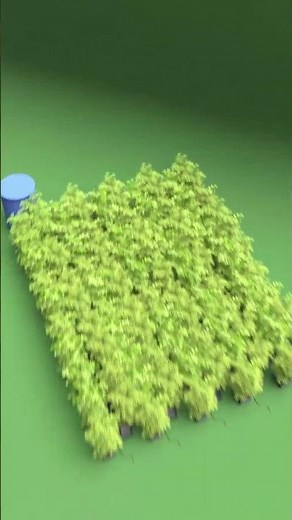 Let your plants feed themselves with the gravity powered automation of AutoPot!