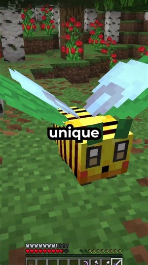 Trying To FInd A Server Better Than DonutSMP