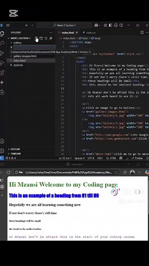 FNB Week 2 Section 1 lesson 1-4 Recap @FNBSA #fnb #fnbapp #nbappoftheyear #fnbappacademy #codinglife #code #codespaces #codeacademy #CapCut @App of the Year @IT varsity