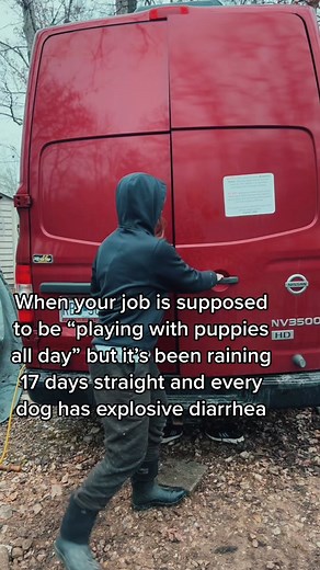 Dealing with Rainy Days and Doggy Diarrhea at Work