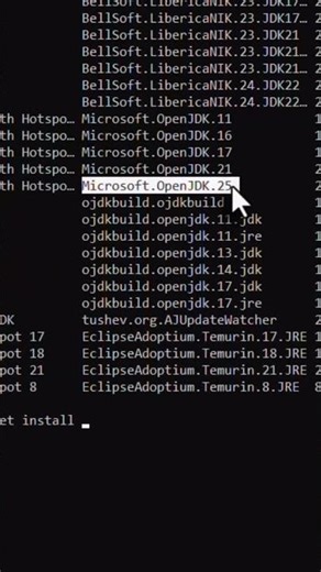 PARE de dar NEXT: instale QUALQUER app no Windows assim