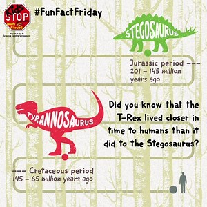 #FunFactFriday Did you know that the T-Rex lived closer in time to humans than it did to the Stegosaurus? Stegosaurus and T-Rex lived nearly 85 million years apart while humans and T-Rex lived only 65 million years apart. That's a whopping difference of 20 million years! Now, guess how long dinosaurs roamed the earth? 👀 #KidsSTOPSG #KidsScience #SGKids | Kids STOP Singapore