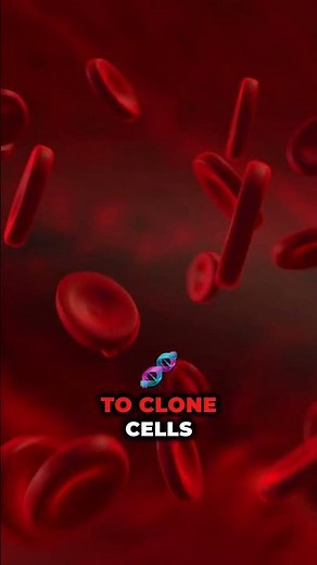 How Human Body Cells Can Be Cloned ?