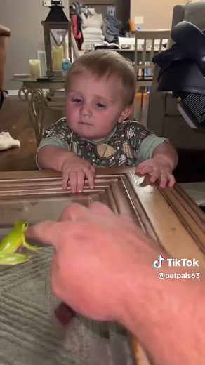 Funny Videos Featuring Children and Animals