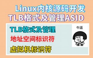 剖析Linux内核TLB格式及管理ASID