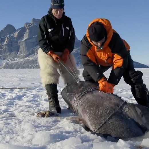 2.6M views · 25K reactions | This is a MASSIVE catch 勞 #rivermonsters #jeremywade #fishing | River Monsters Global | Facebook