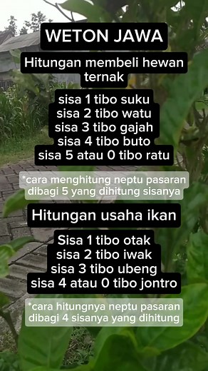 Indonesian culture especially in java #fyp #fbpro #facebook #reel #reels #viral #video #trending #novel #java #jawa #indonesia #primbon #weton | Warsinah