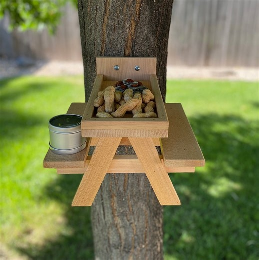 Cedar Squirrel Picnic Table Feeder: Nut Guard   Water Dish - Large Size - Etsy