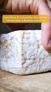 The fascinating story of Caciofiore cheese, from Ancient Rome to modern times, made using a 2,000 old recipe #caciofiore #cheese #italianfood #ancientrome | Claudia Romeo