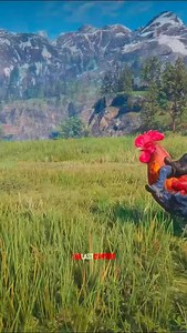 Chicken jockey #reddeadredemption2 #rdr2 #rockstargames #rdr2community #rdr2pc | The Last CowPoke