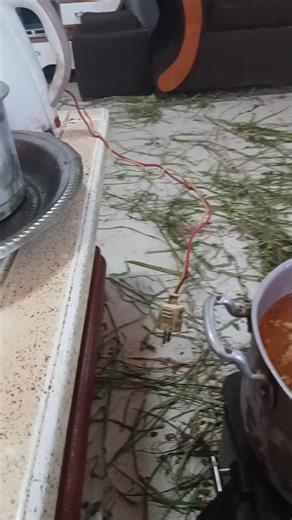 Tsega Teare (@tsega.teare2)’s videos with original sound - piyankidance