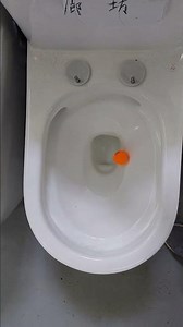 Steady Flush Cycle — Smooth & Clear 💦✨