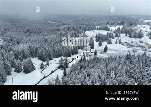 Peat bog mountain winter ice upland lake Jeseniky pool wetland swamp aerial drone shot during winter natural ice form spruce tree Picea forest snow frost cold cool ice tundra biome frigid temperature birds eye top view footage. Famous tourist place Stock Video Footage - Alamy
