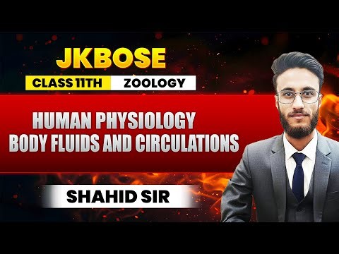 "Human Physiology – Class 11 JKBOSE Zoology | Chapter Summary, Notes & Topics