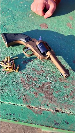 Ruger Wrangler Revolver