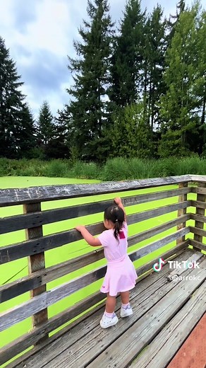 Shrek’s Swamp 🧚🏻#shrek #washington #fyp #foryou