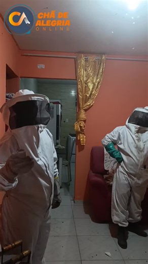 Chã de Alegria Online on Instagram: "🐝 Problema resolvido com responsabilidade ambiental! 🌱 A Secretaria de Meio Ambiente de Chã de Alegria agiu rápido e com consciência! No Loteamento Nova Chã II, uma equipe especializada, acompanhada por um apicultor, realizou com sucesso a captura segura das abelhas, garantindo a tranquilidade dos moradores sem causar danos à natureza. A ação reforça o compromisso do município com a preservação ambiental, o respeito à vida e a segurança da população. Abelha