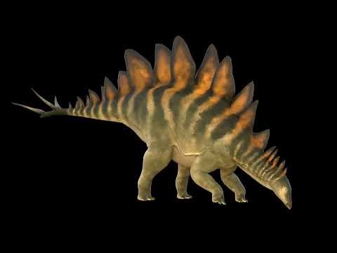 Stegosaurus Animation Test