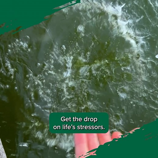 Get Outdoors. Get Your License. | Tennessee Wildlife Resources Agency