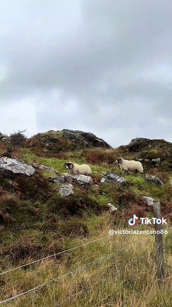 Exploring the Scottish Highlands: Scenic Adventures