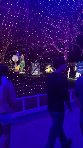 Festival of Lights part 3