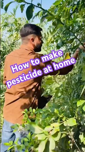 How to make pesticide at home #minivlog #plants #organicpesticide #nature #lover #1million #viral