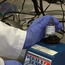 Video: An Enzymatic Method to Rescue Mesenchymal Stem Cells from Clotted Bone Marrow Samples