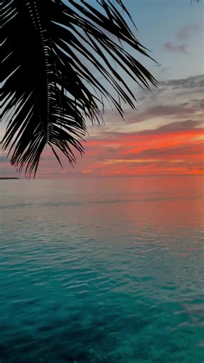 52 reactions | Maledives ️ : maldiveslivin | Most Beautiful Places | Facebook