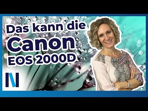 Canon EOS 2000D: Review – Diese Vorteile und Funktionen hat die Digitalkamera zu bieten! (deutsch)