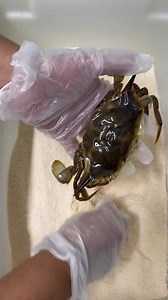 Deep Frying - Maryland Soft Shell Crabs! Cameron’s Seafood Soft Shell Crab Sandwich 🦀😍 . . . . . #seafood #recipe #dmv #viralvideos #ship | Cameron's Seafood Online