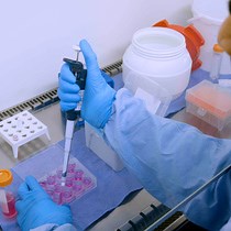 Video: An Automated Culture System for Use in Preclinical Testing of Host-Directed Therapies for Tuberculosis