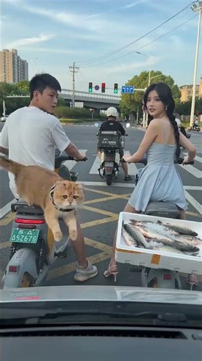 “Bro got caught… and still had the attitude 💀” #usaviralshorts #usaviralshorts #usashorts