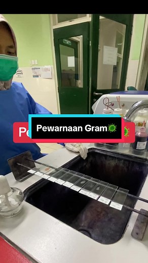 Pewarnaan Gram: Teknik dan Maknanya dalam Mikrobiologi